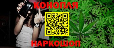 PSILOCYBIN Ярославль
