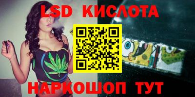 PSILOCYBIN Ярославль